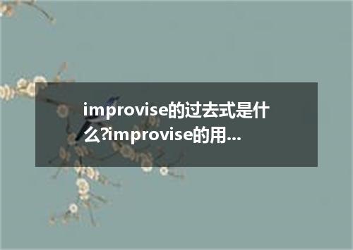 improvise的过去式是什么?improvise的用法和例句