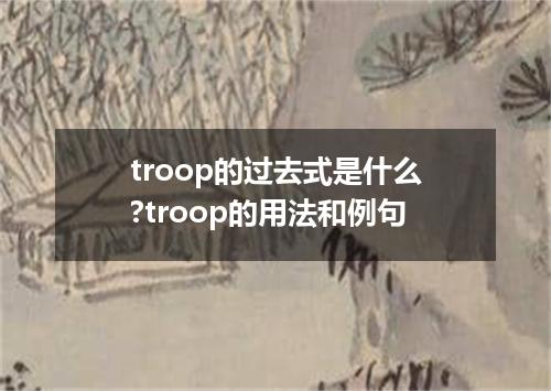 troop的过去式是什么?troop的用法和例句