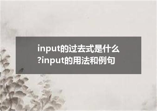 input的过去式是什么?input的用法和例句