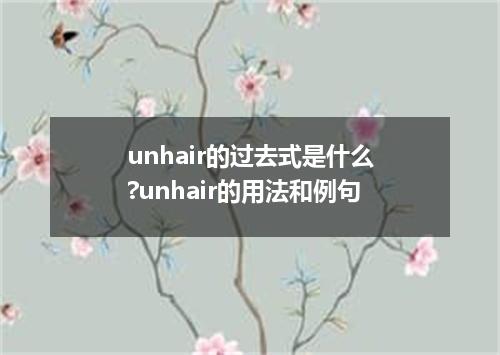 unhair的过去式是什么?unhair的用法和例句