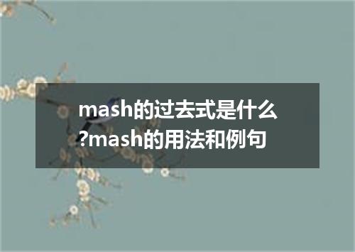 mash的过去式是什么?mash的用法和例句