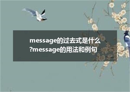 message的过去式是什么?message的用法和例句