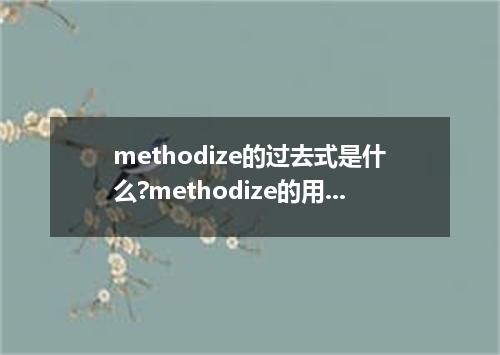 methodize的过去式是什么?methodize的用法和例句