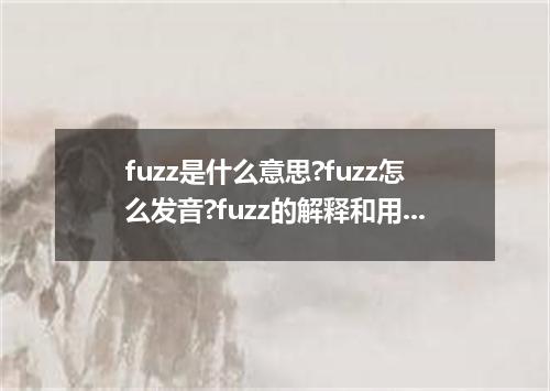 fuzz是什么意思?fuzz怎么发音?fuzz的解释和用法