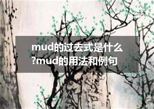 mud的过去式是什么?mud的用法和例句
