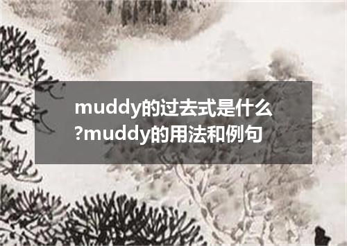 muddy的过去式是什么?muddy的用法和例句