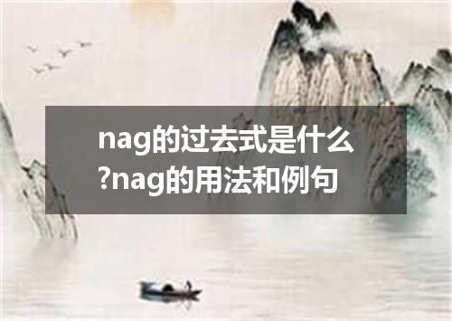 nag的过去式是什么?nag的用法和例句