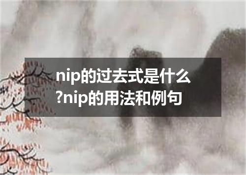 nip的过去式是什么?nip的用法和例句