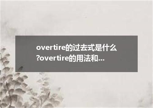 overtire的过去式是什么?overtire的用法和例句