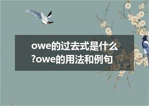 owe的过去式是什么?owe的用法和例句