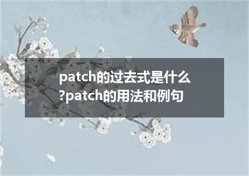 patch的过去式是什么?patch的用法和例句