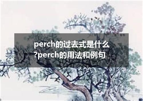 perch的过去式是什么?perch的用法和例句