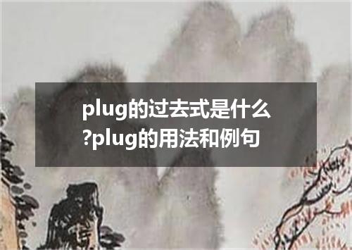 plug的过去式是什么?plug的用法和例句