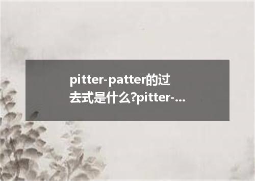 pitter-patter的过去式是什么?pitter-patter的用法和例句