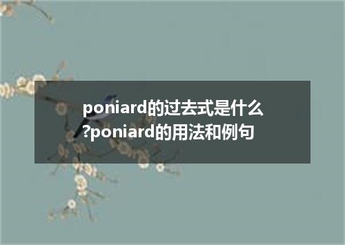 poniard的过去式是什么?poniard的用法和例句