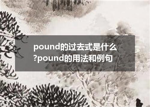 pound的过去式是什么?pound的用法和例句
