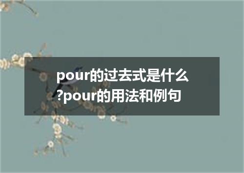 pour的过去式是什么?pour的用法和例句