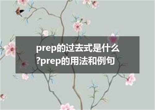 prep的过去式是什么?prep的用法和例句