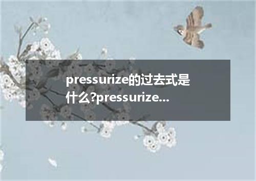 pressurize的过去式是什么?pressurize的用法和例句