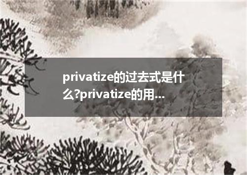 privatize的过去式是什么?privatize的用法和例句