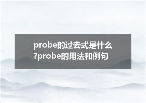 probe的过去式是什么?probe的用法和例句