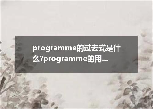 programme的过去式是什么?programme的用法和例句
