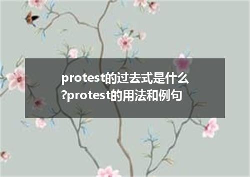 protest的过去式是什么?protest的用法和例句