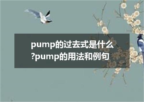 pump的过去式是什么?pump的用法和例句