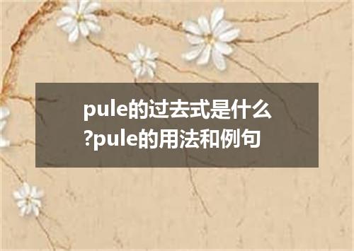 pule的过去式是什么?pule的用法和例句