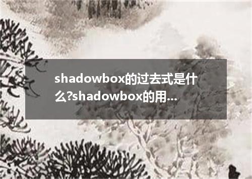 shadowbox的过去式是什么?shadowbox的用法和例句