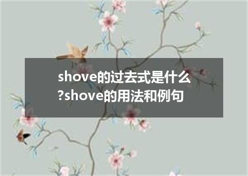 shove的过去式是什么?shove的用法和例句