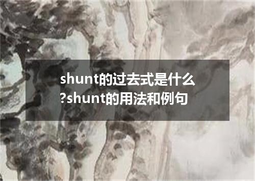 shunt的过去式是什么?shunt的用法和例句