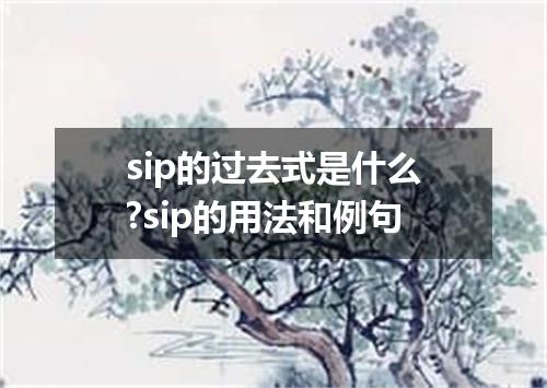 sip的过去式是什么?sip的用法和例句