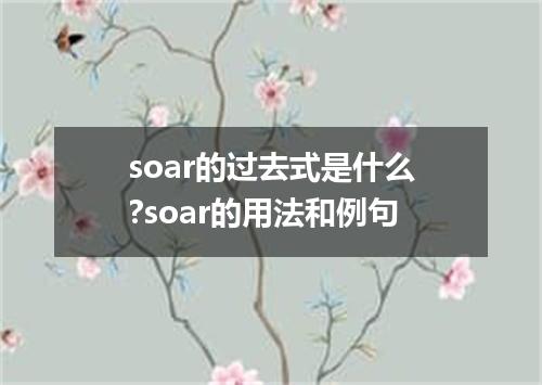 soar的过去式是什么?soar的用法和例句