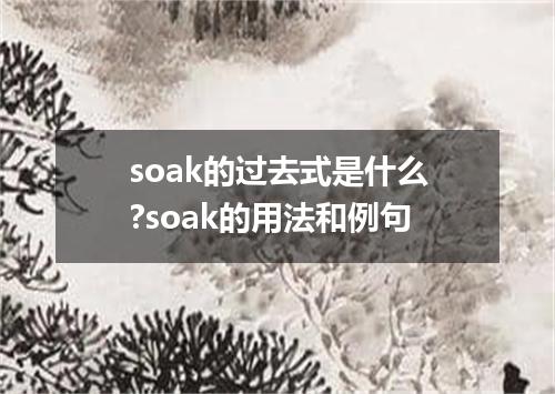 soak的过去式是什么?soak的用法和例句