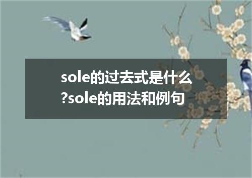 sole的过去式是什么?sole的用法和例句
