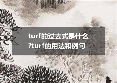 turf的过去式是什么?turf的用法和例句