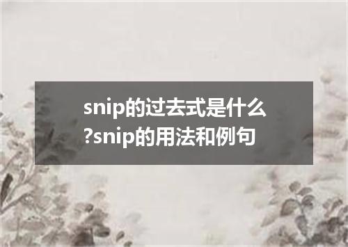 snip的过去式是什么?snip的用法和例句