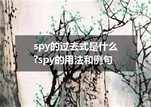 spy的过去式是什么?spy的用法和例句