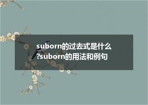 suborn的过去式是什么?suborn的用法和例句