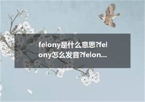 felony是什么意思?felony怎么发音?felony的解释和用法