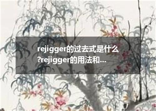 rejigger的过去式是什么?rejigger的用法和例句
