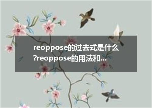 reoppose的过去式是什么?reoppose的用法和例句