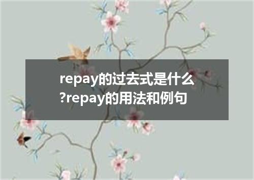 repay的过去式是什么?repay的用法和例句