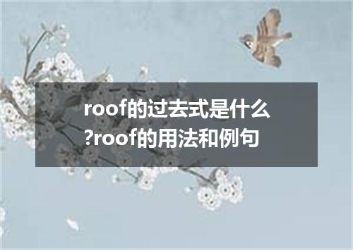 roof的过去式是什么?roof的用法和例句