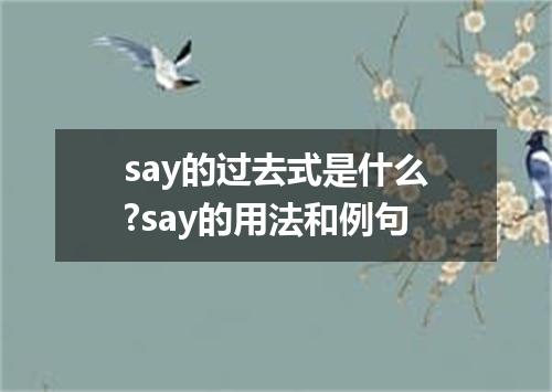 say的过去式是什么?say的用法和例句