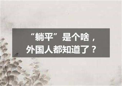 “躺平”是个啥,外国人都知道了?