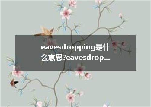 eavesdropping是什么意思?eavesdropping怎么发音?eavesdropping的解释和用法