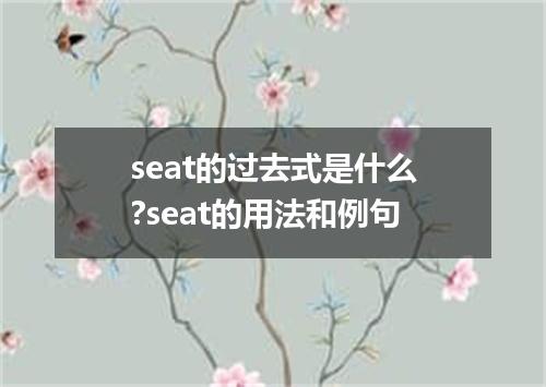 seat的过去式是什么?seat的用法和例句