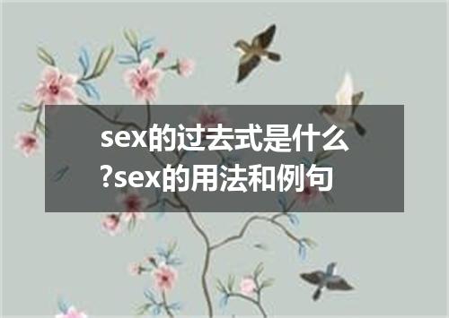 sex的过去式是什么?sex的用法和例句